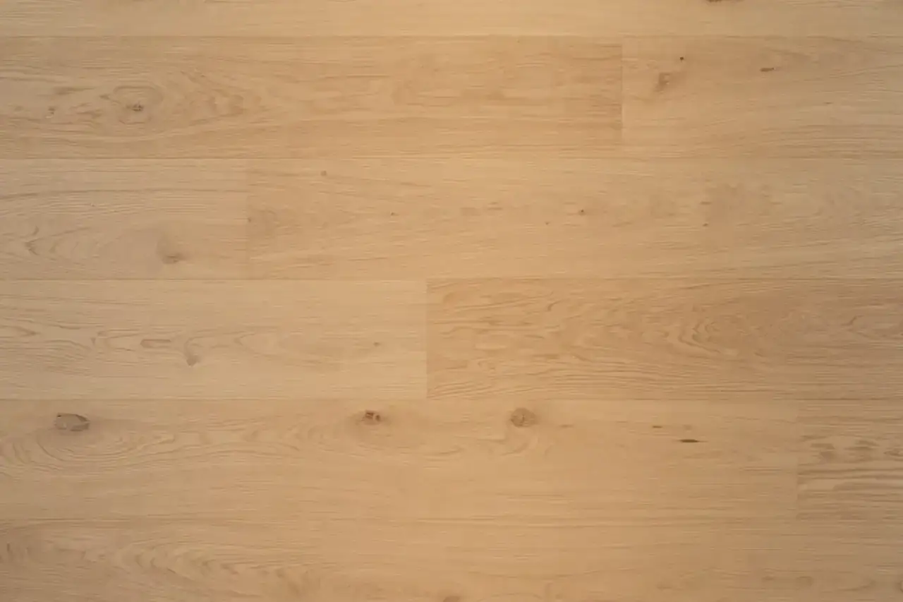 Bergamo Floors Oak Lasa Bene European White Oak Engineered Hardwood, installed in a room