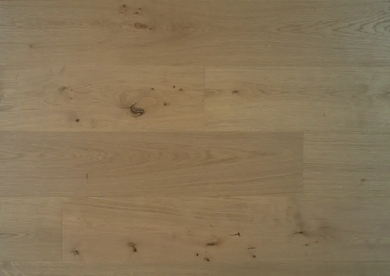Bergamo Floors Oak Treviso Bene European Oak Engineered Hardwood, installed in a room