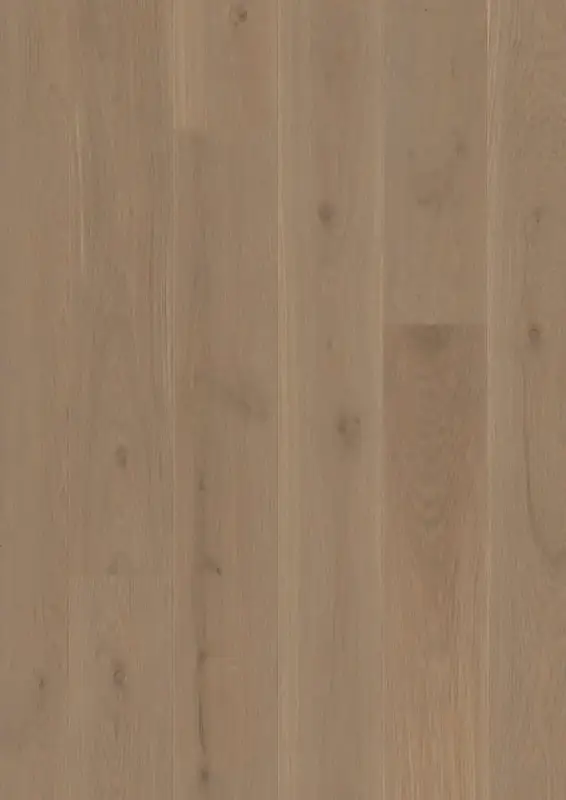 BOEN Plank Castle Oak Sand European Oak Engineered Hardwood, installed in a room