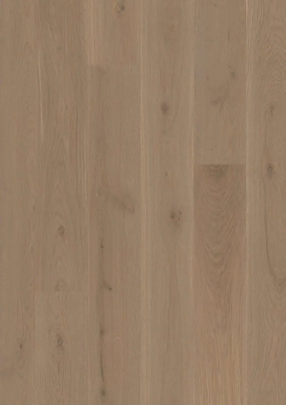 BOEN Plank Castle Oak Sand European Oak Engineered Hardwood, installed in a room
