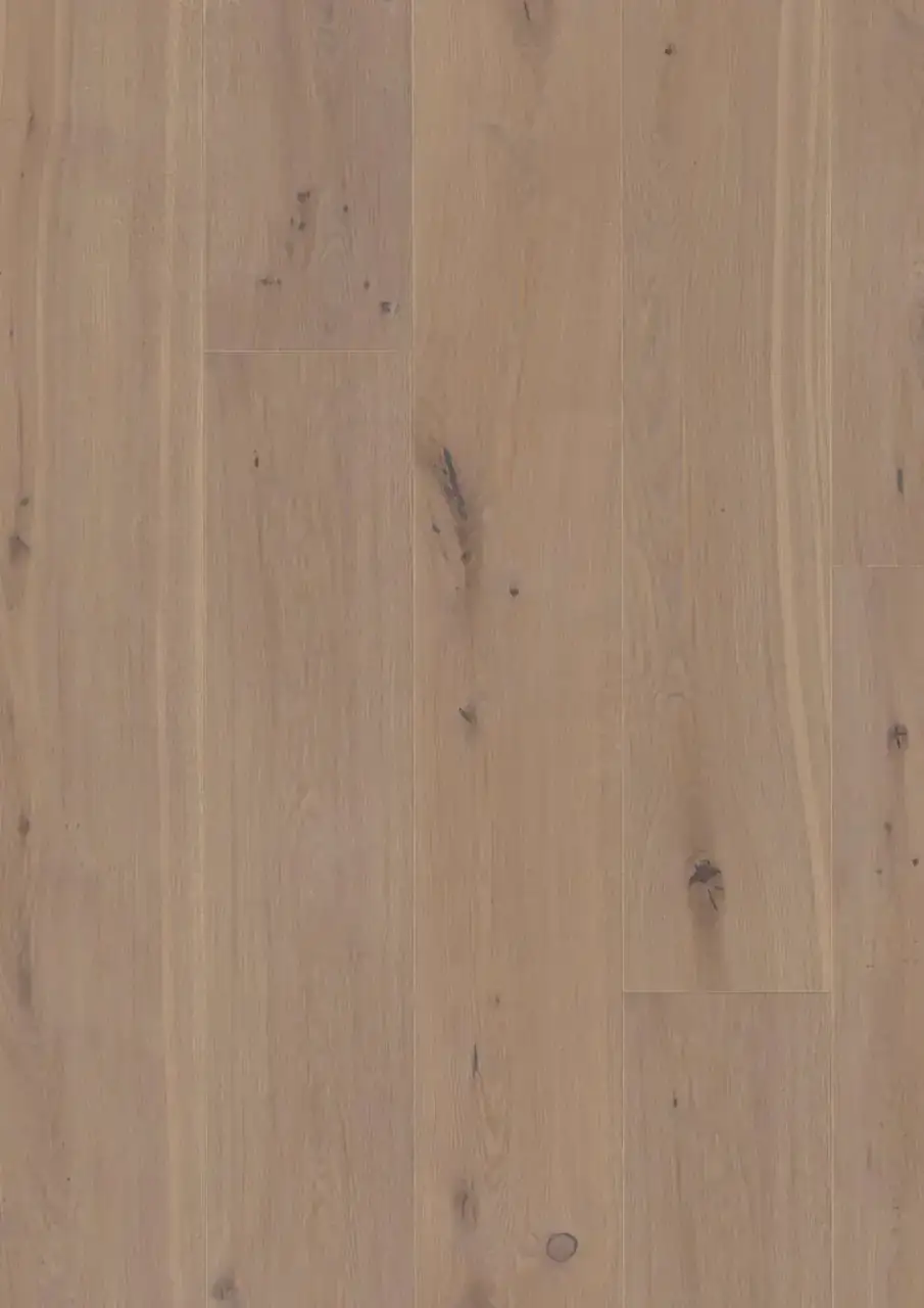 BOEN Chaletino Oak Sand European Oak Engineered Hardwood, installed in a room
