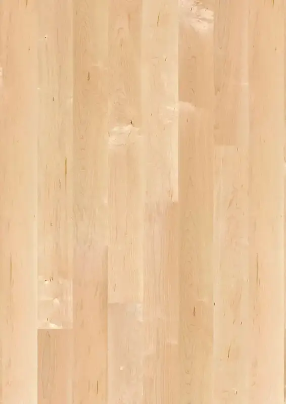 BOEN Plank 138 Maple Canadian Transparent Canadian Maple Engineered Hardwood, installed in a room