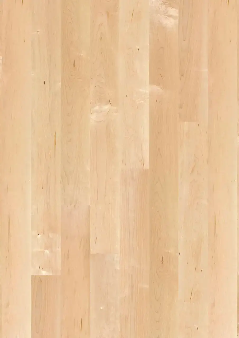 BOEN Plank 138 Maple Canadian Transparent Canadian Maple Engineered Hardwood, installed in a room