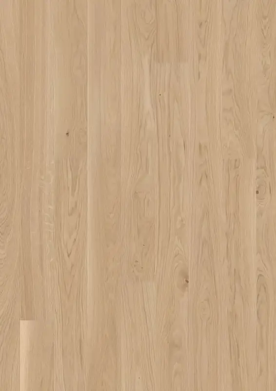 BOEN Plank 138 Oak Transparent European Oak Engineered Hardwood, installed in a room
