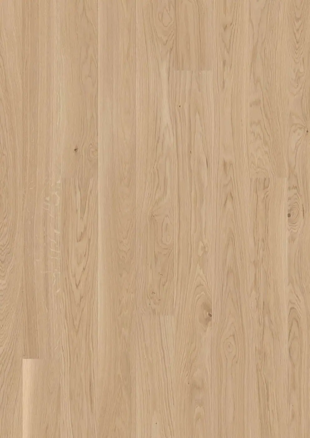 BOEN Plank 138 Oak Transparent European Oak Engineered Hardwood, installed in a room
