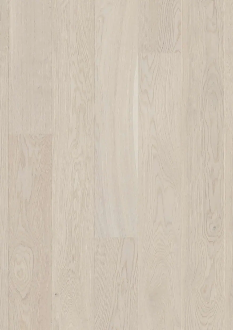 BOEN Plank Castle Oak White European Oak Engineered Hardwood, installed in a room