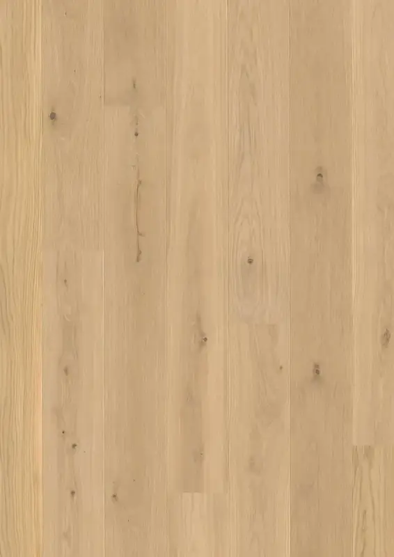 BOEN Plank Castle Oak Transparent European Oak Engineered Hardwood, installed in a room