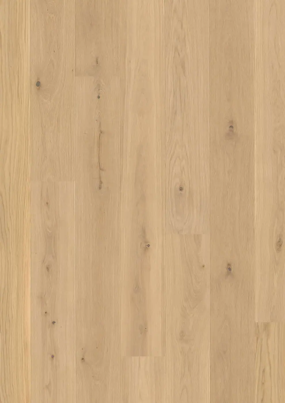 BOEN Plank Castle Oak Transparent European Oak Engineered Hardwood, installed in a room