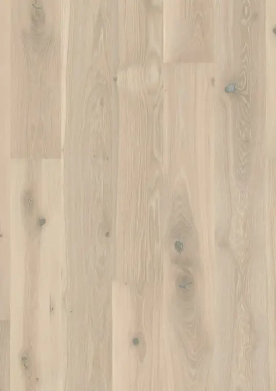 BOEN Plank Castle Oak Pale White European Oak Engineered Hardwood, installed in a room