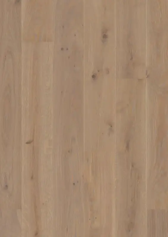 BOEN Plank Castle Oak Warm Grey European Oak Engineered Hardwood, installed in a room