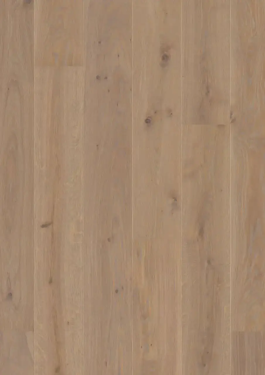 BOEN Plank Castle Oak Warm Grey European Oak Engineered Hardwood, installed in a room