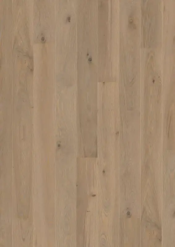 BOEN Plank 138 Oak Warm Grey European Oak Engineered Hardwood, installed in a room