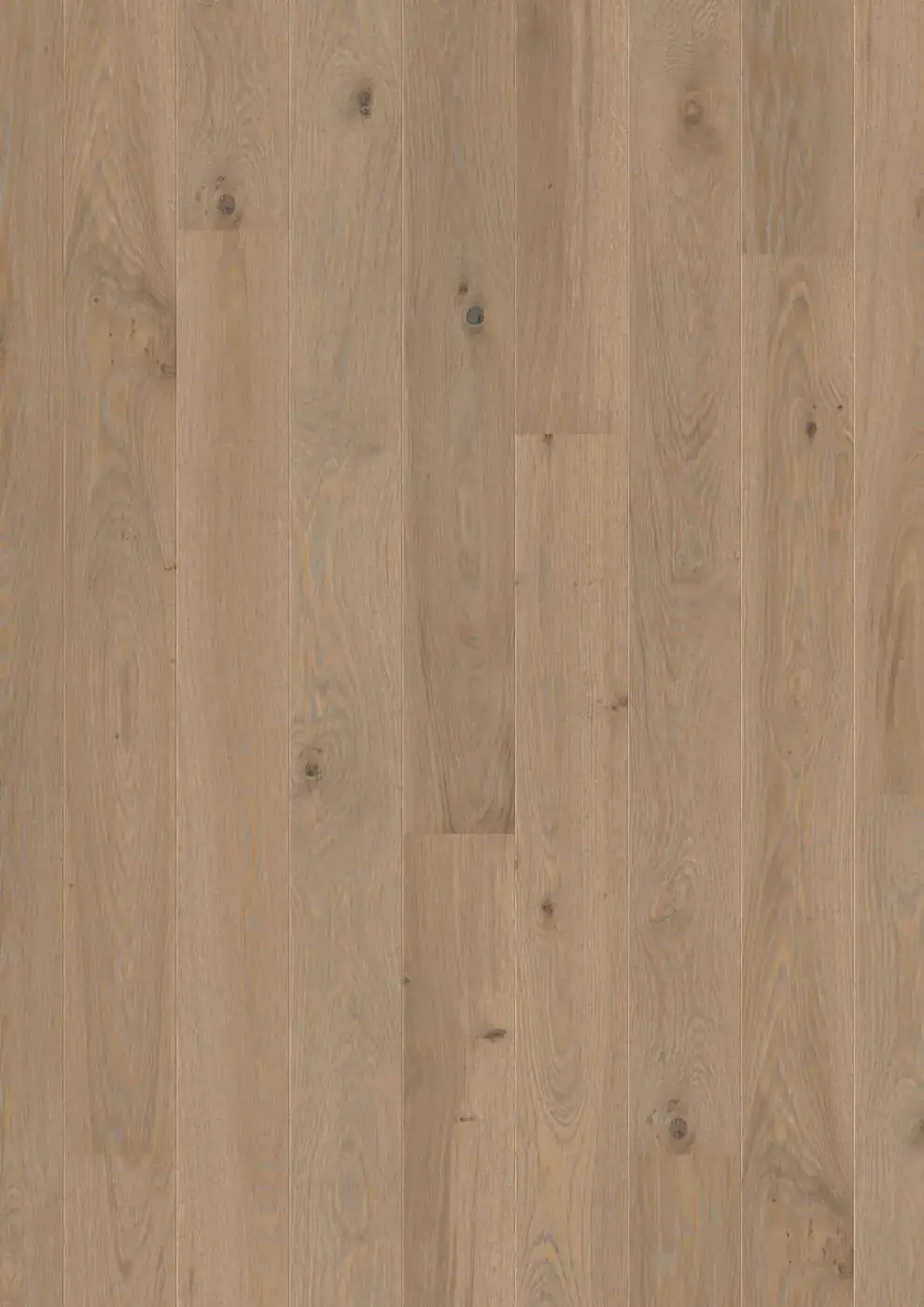 BOEN Plank 138 Oak Warm Grey European Oak Engineered Hardwood, installed in a room