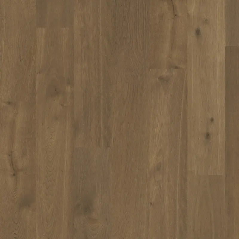DuChateau Terra Alpine European white oak Engineered Hardwood, installed in a room