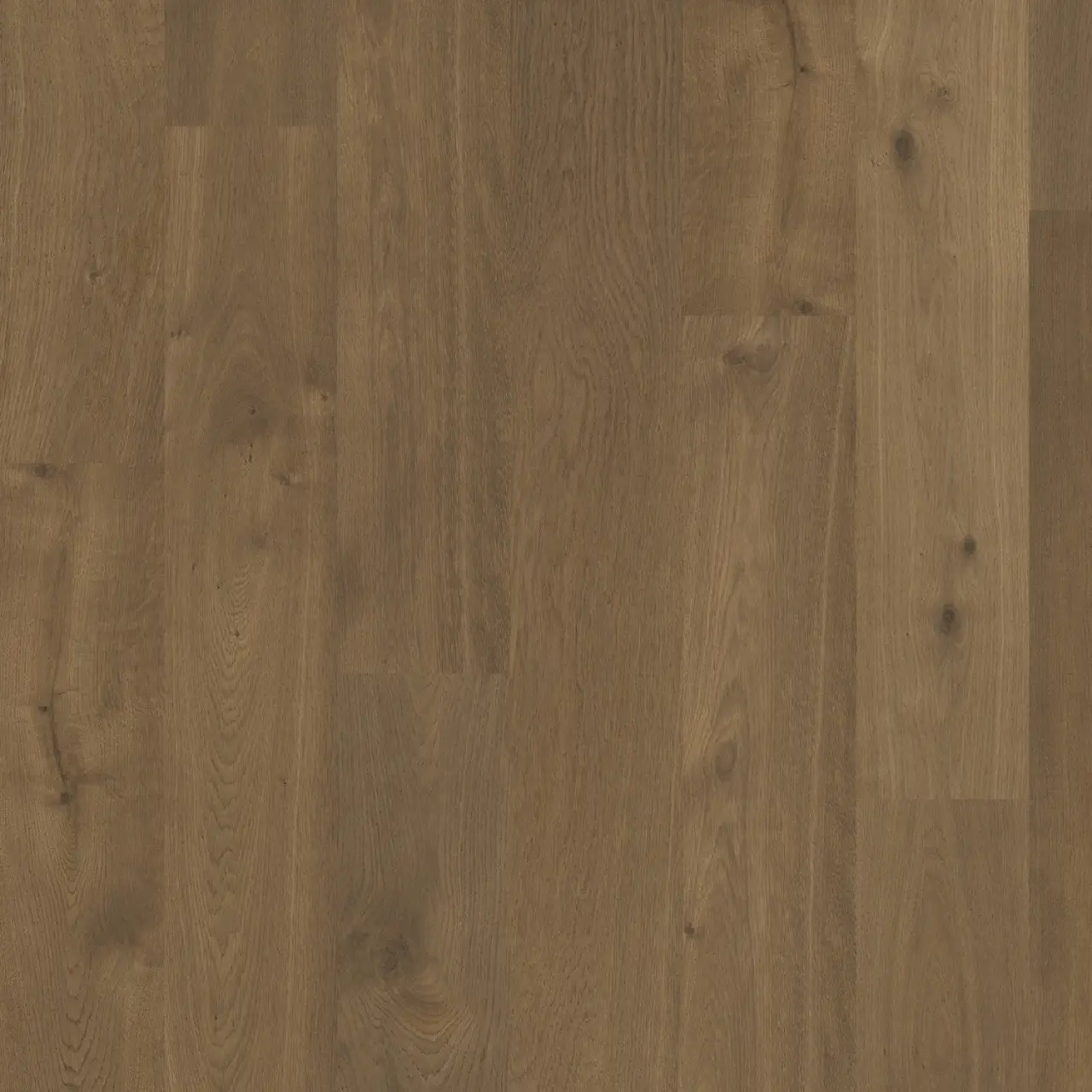 DuChateau Terra Alpine European white oak Engineered Hardwood, installed in a room