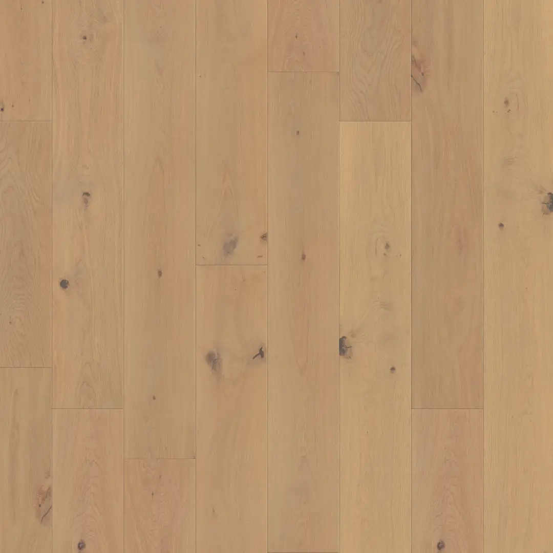 DuChateau Beaujou Clou European White Oak Engineered Hardwood, installed in a room