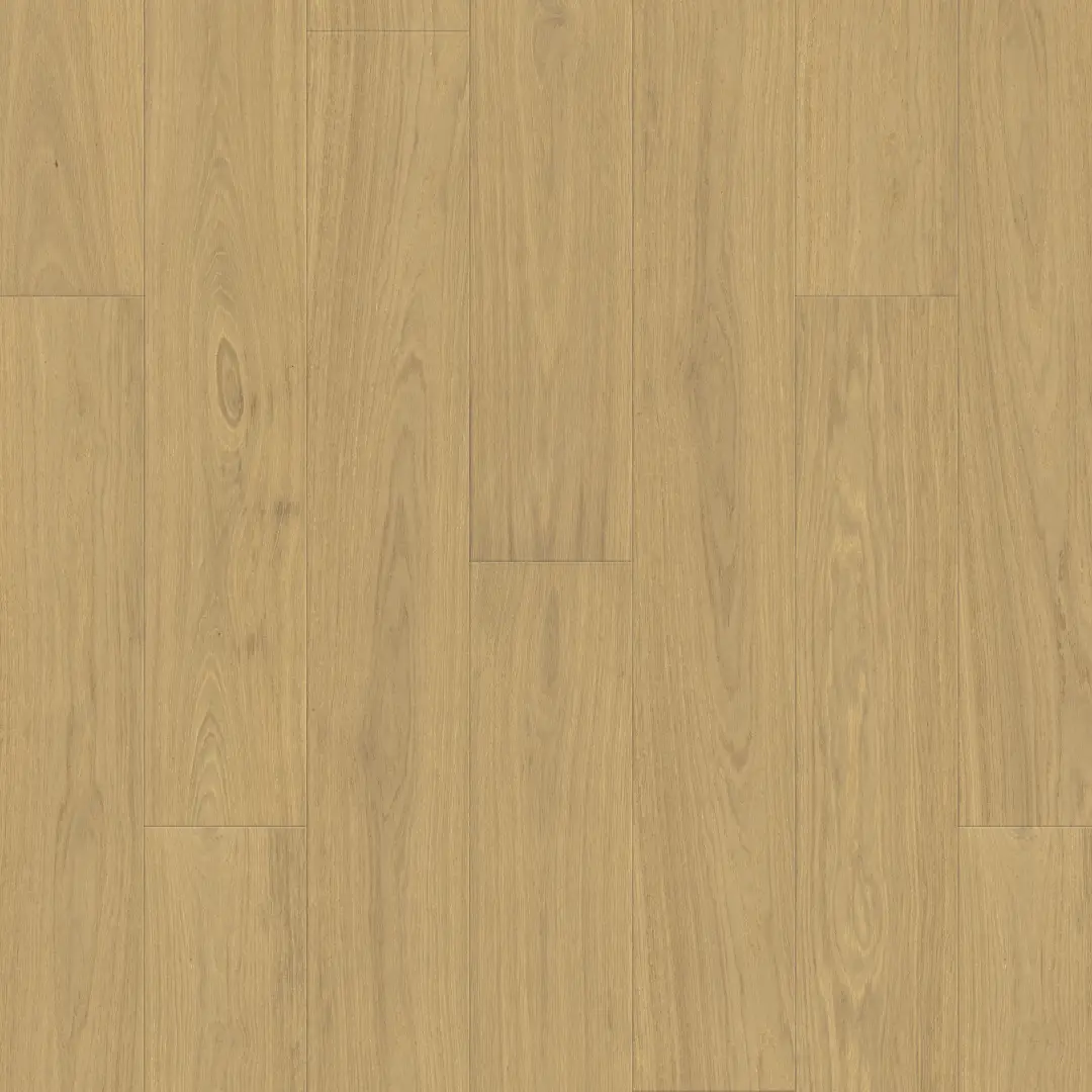 DuChateau Boiselle Selle European White Oak Engineered Hardwood, installed in a room