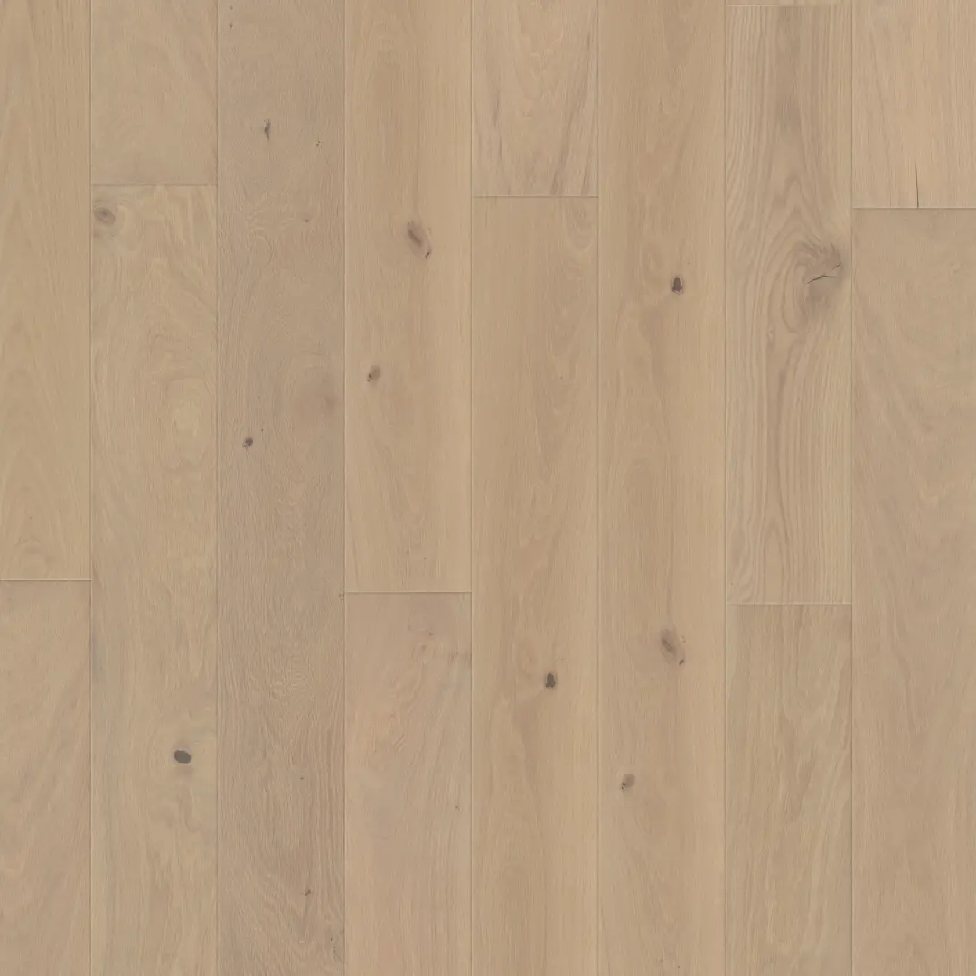 DuChateau Botteva Aspra European White Oak Engineered Hardwood, installed in a room