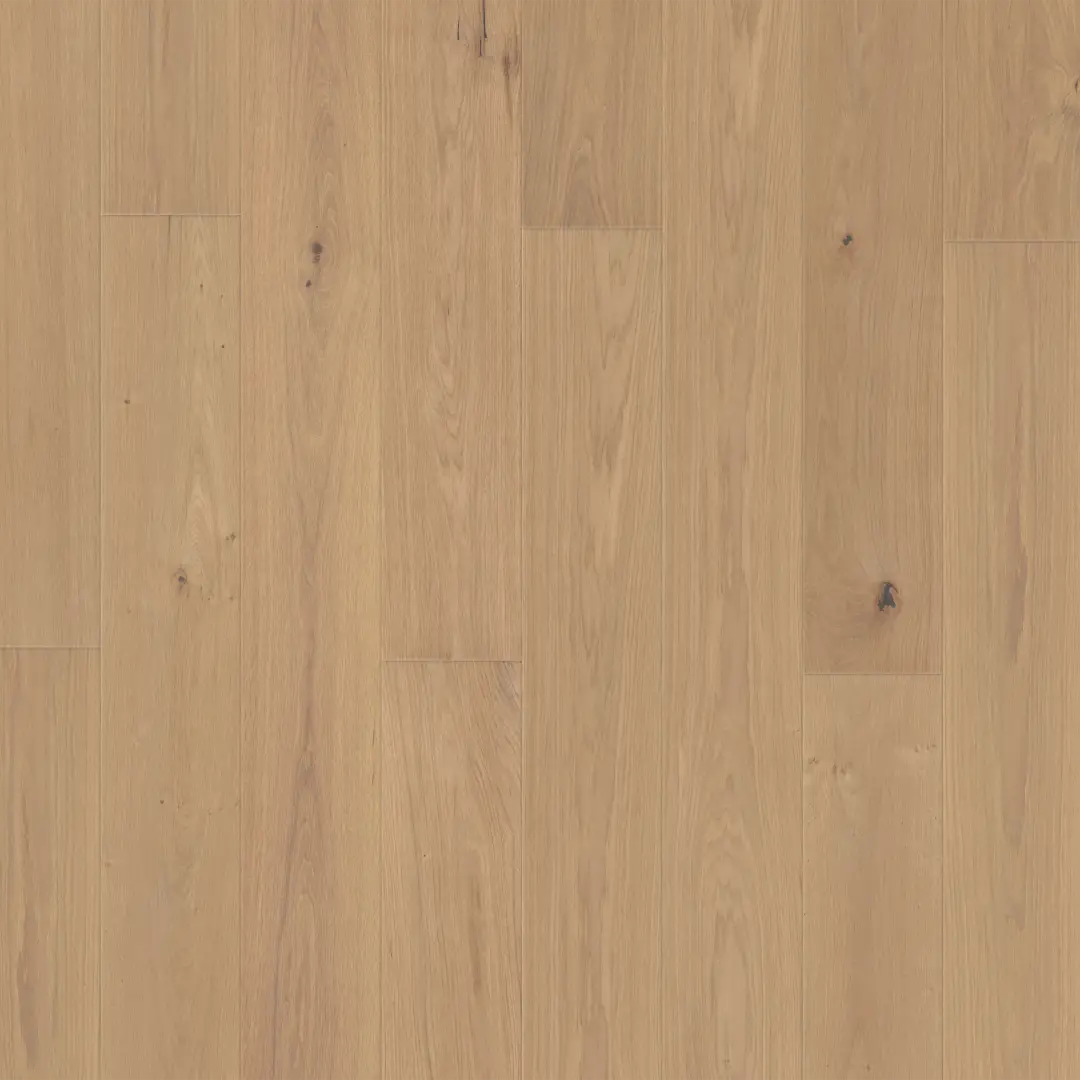 DuChateau Botteva Natura European White Oak Engineered Hardwood, installed in a room