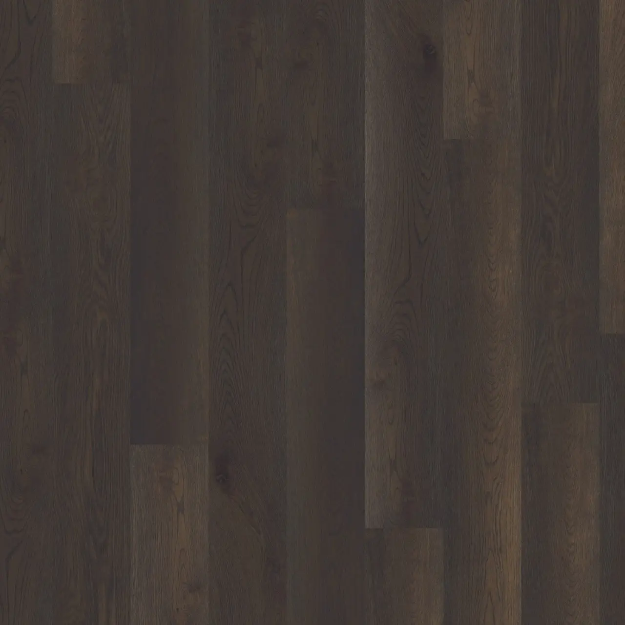 DuChateau Global Winds Buran European white oak Engineered Hardwood, installed in a room
