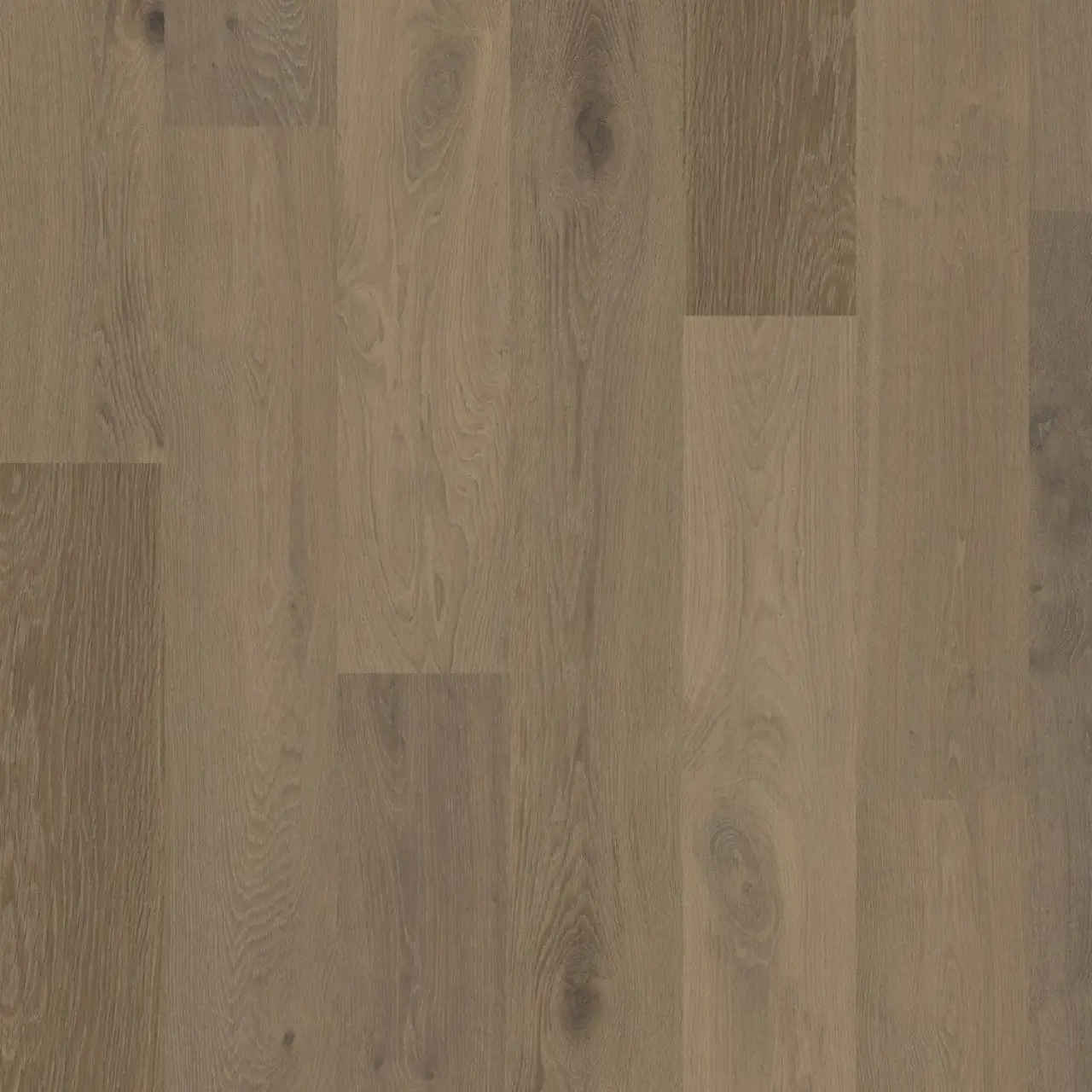 DuChateau Terra Chaparral European white oak Engineered Hardwood, installed in a room