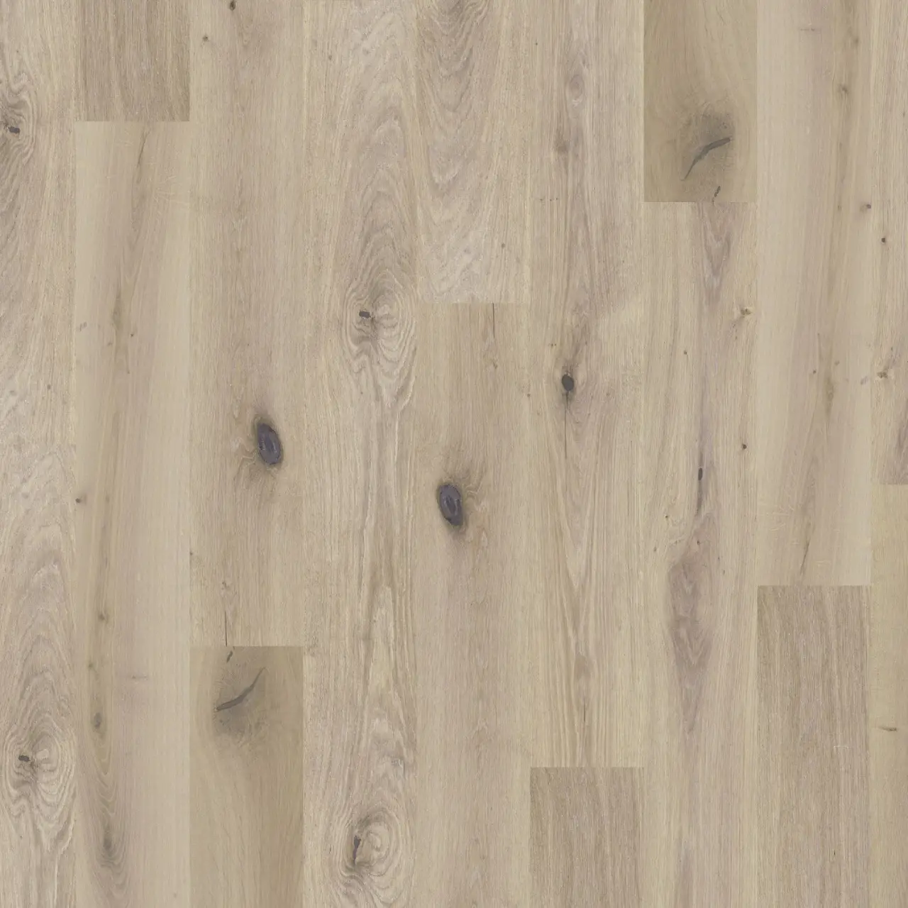 DuChateau Global Winds Chinook European white oak Engineered Hardwood, installed in a room