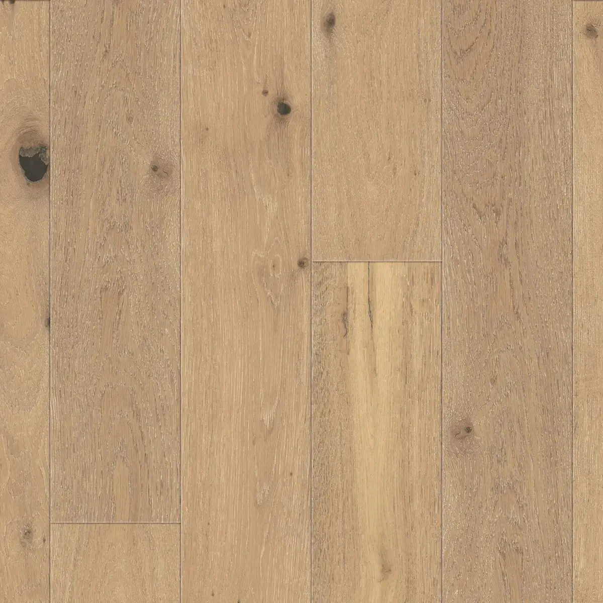 DuChateau Riverstone Danube European Oak Engineered Hardwood, installed in a room