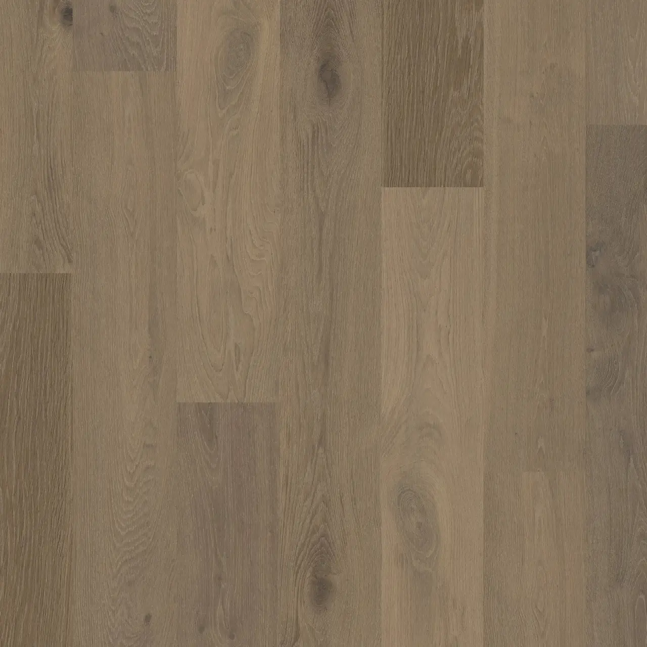 DuChateau Martyn Lawrence Bullard Jeanneret European white oak Engineered Hardwood, installed in a room