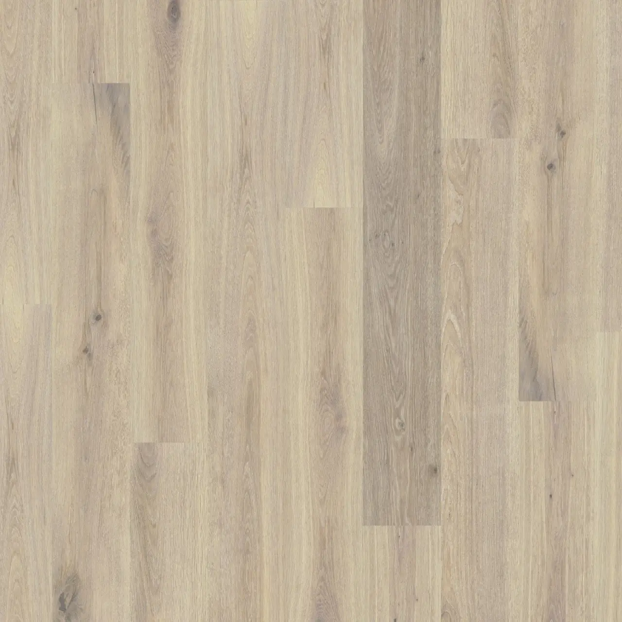 DuChateau Global Winds Mistral European white oak Engineered Hardwood, installed in a room