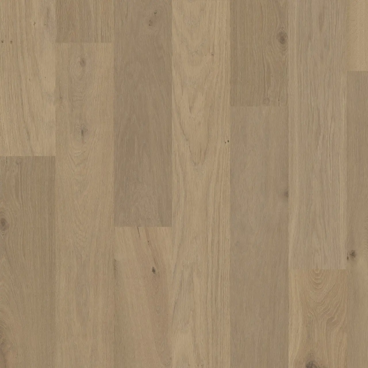 DuChateau Terra Savanna European white oak Engineered Hardwood, installed in a room