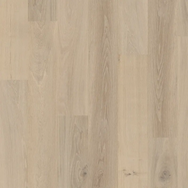 DuChateau Terra Taiga European white oak Engineered Hardwood, installed in a room
