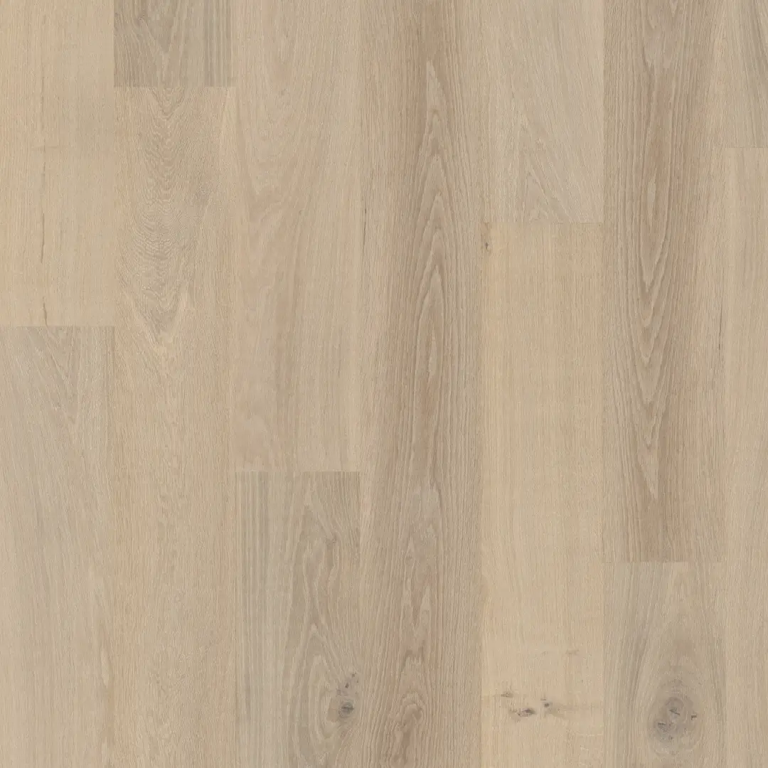 DuChateau Terra Taiga European white oak Engineered Hardwood, installed in a room