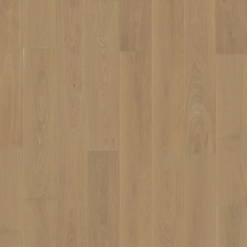 DuChateau Vernal Alpe Foppa European White Oak Engineered Hardwood, installed in a room