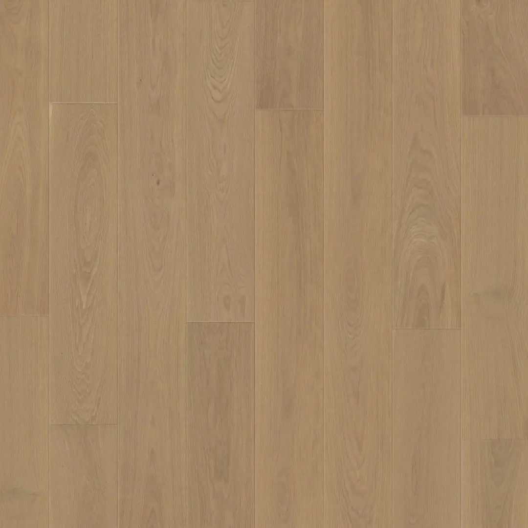 DuChateau Vernal Alpe Foppa European White Oak Engineered Hardwood, installed in a room