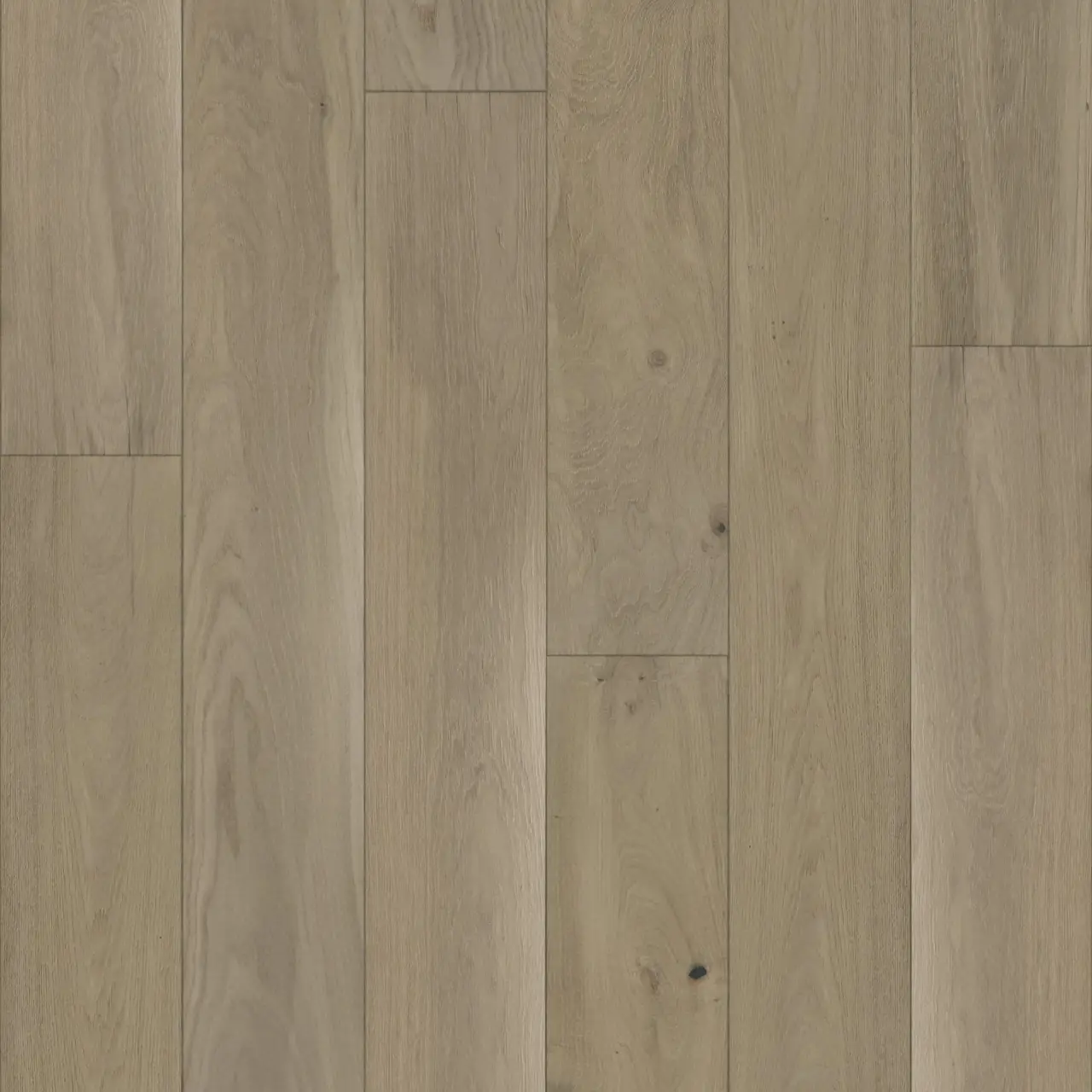 DuChateau Grande Savoy Vicomte European Oak Engineered Hardwood, installed in a room