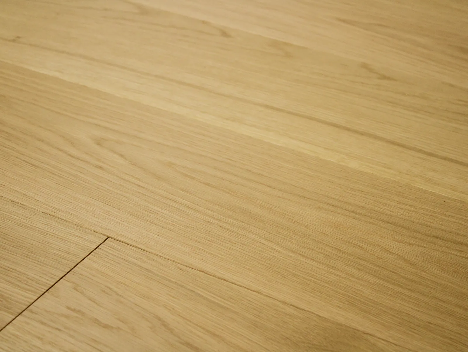Monarch Plank Regent Eleanor European Oak Engineered Hardwood, room view