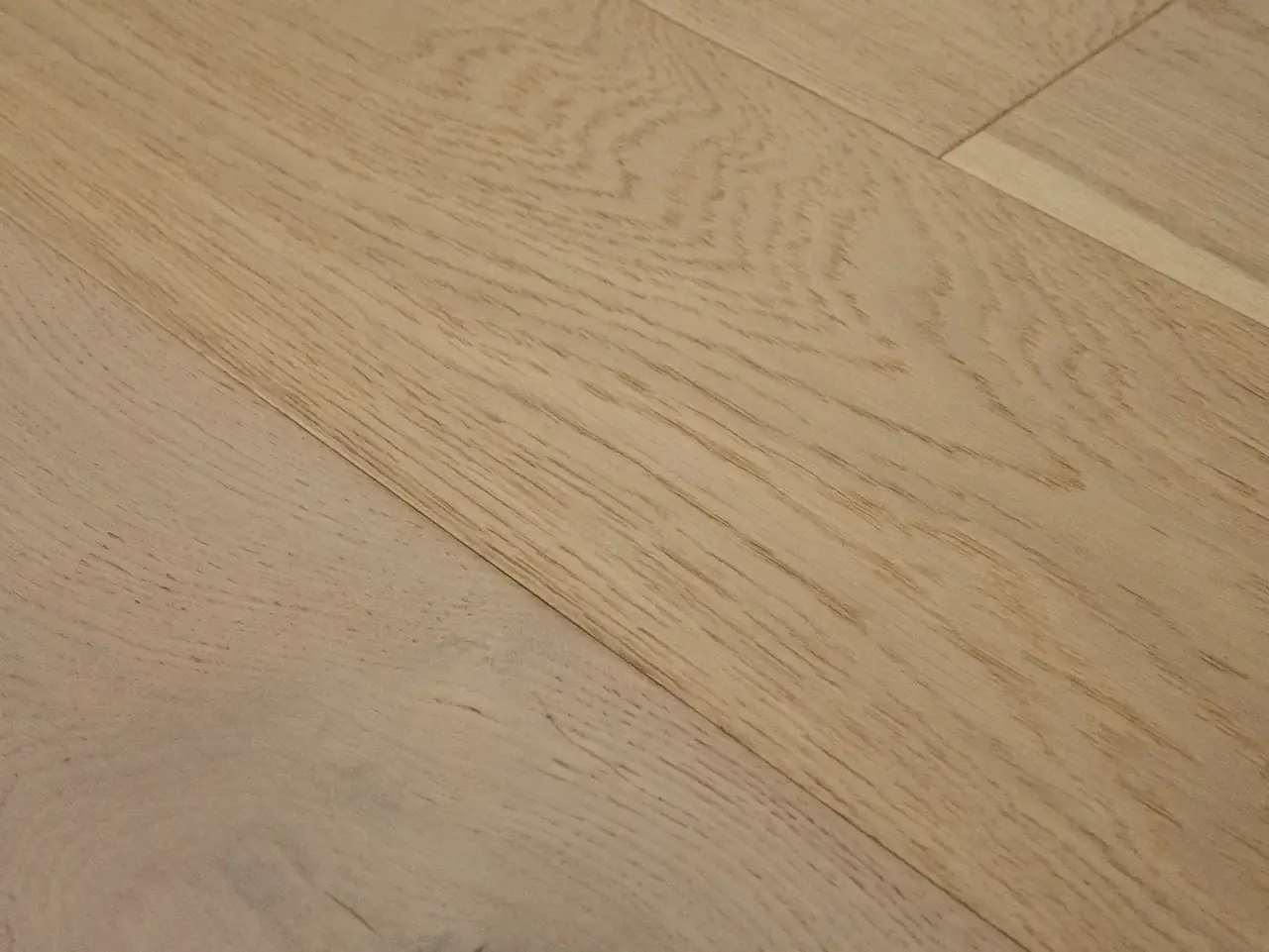 Reward Flooring Avalon European Oak Galahad Engineered Hardwood, room view