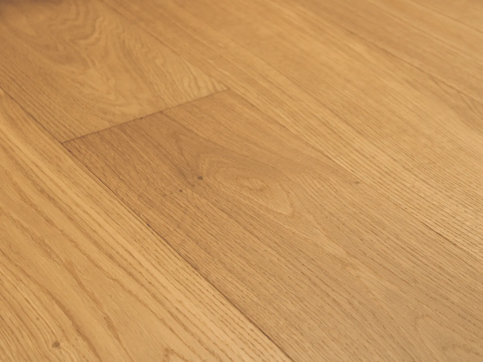 Reward Flooring Provence III European Oak La Bonde Engineered Hardwood, room view