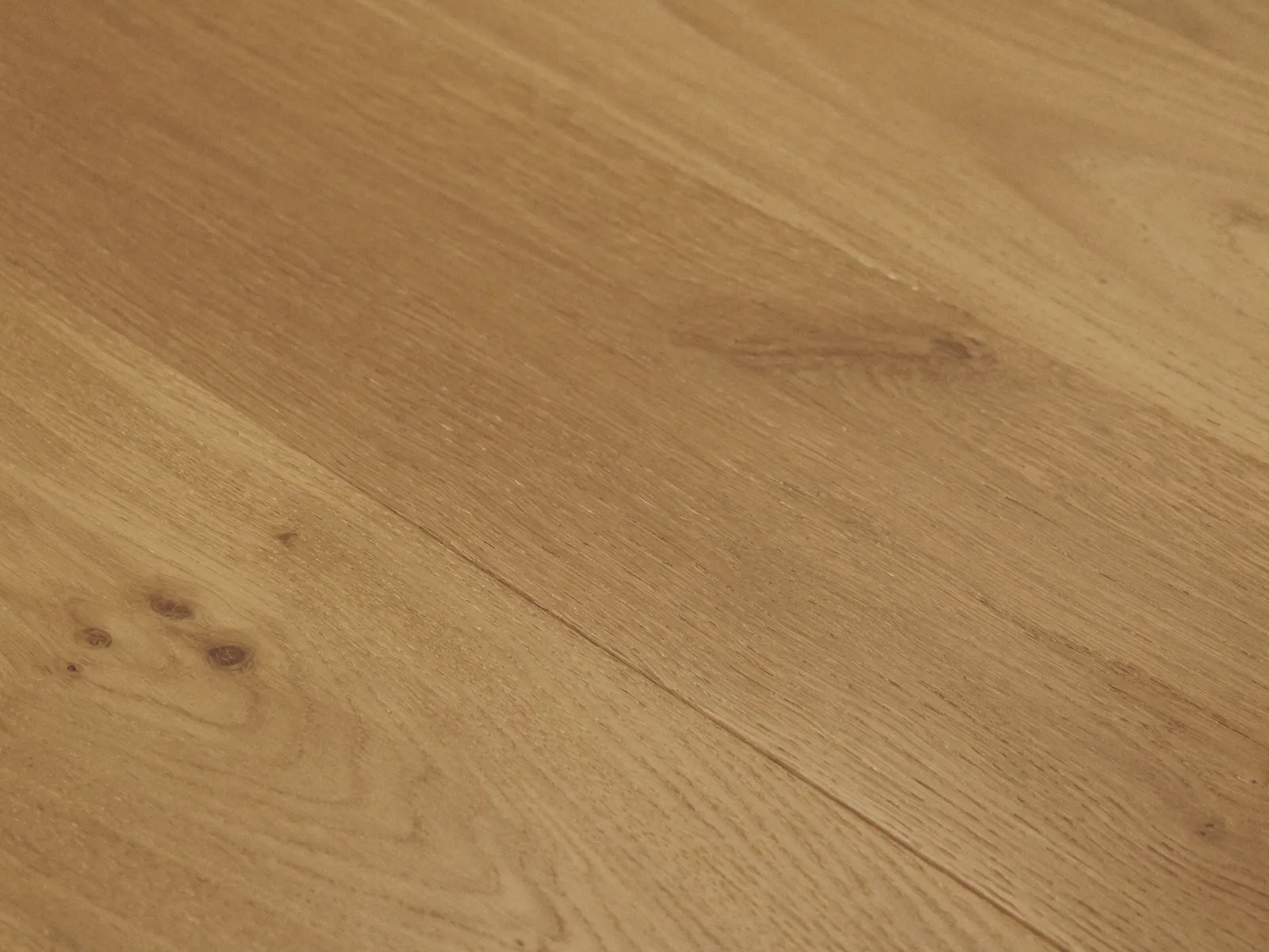 Reward Flooring Provence III European Oak Reverie Engineered Hardwood, room view