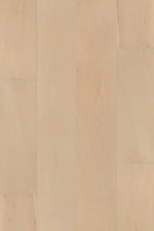 SLCC Flooring Karuna Ezra Maple Engineered Hardwood, installed in a room