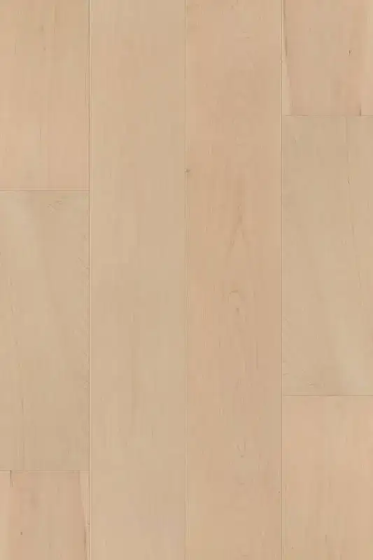 SLCC Flooring Karuna Ezra Maple Engineered Hardwood, installed in a room