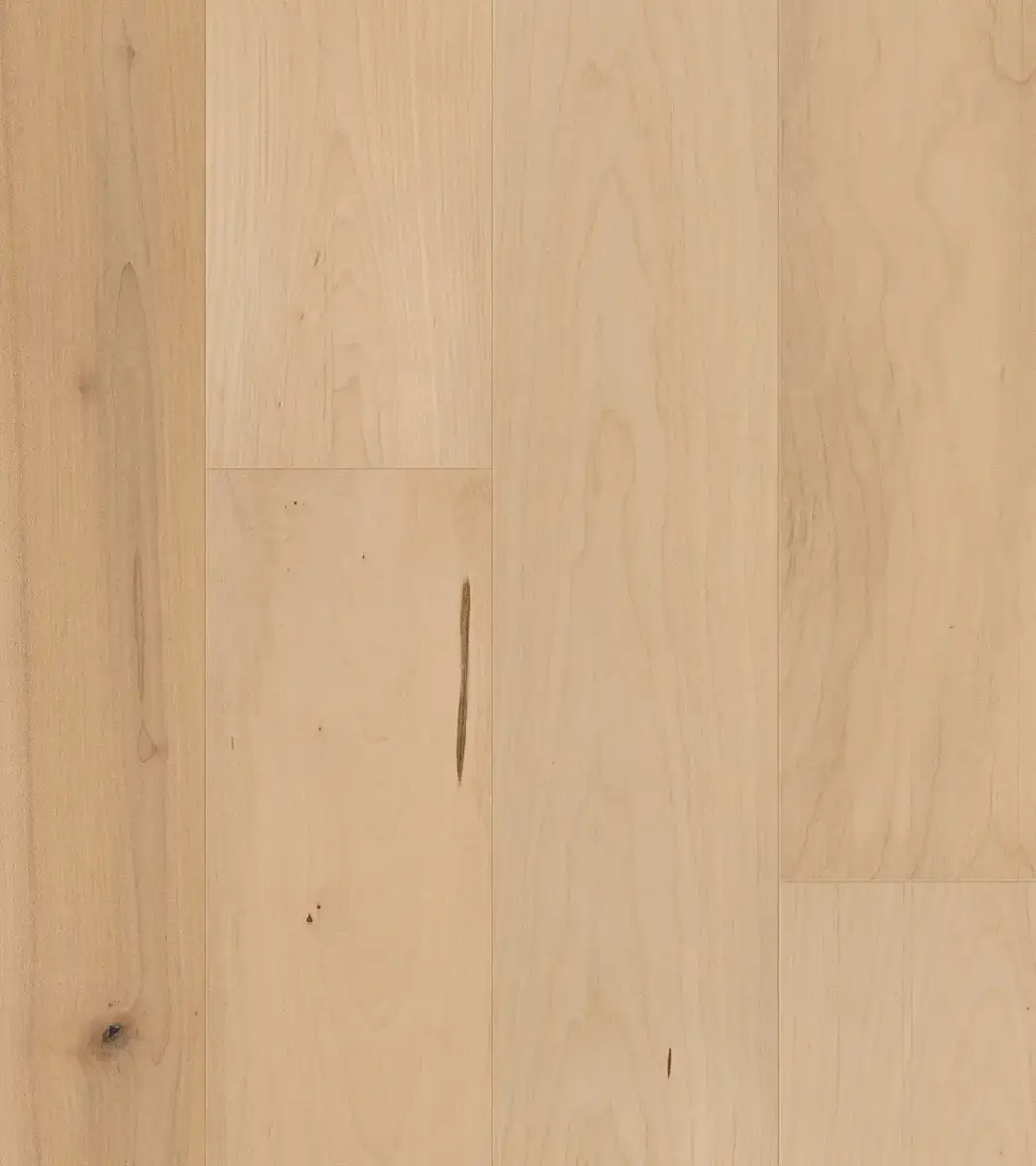 SLCC Flooring Pacific Coast San Rafael Maple Engineered Hardwood, installed in a room