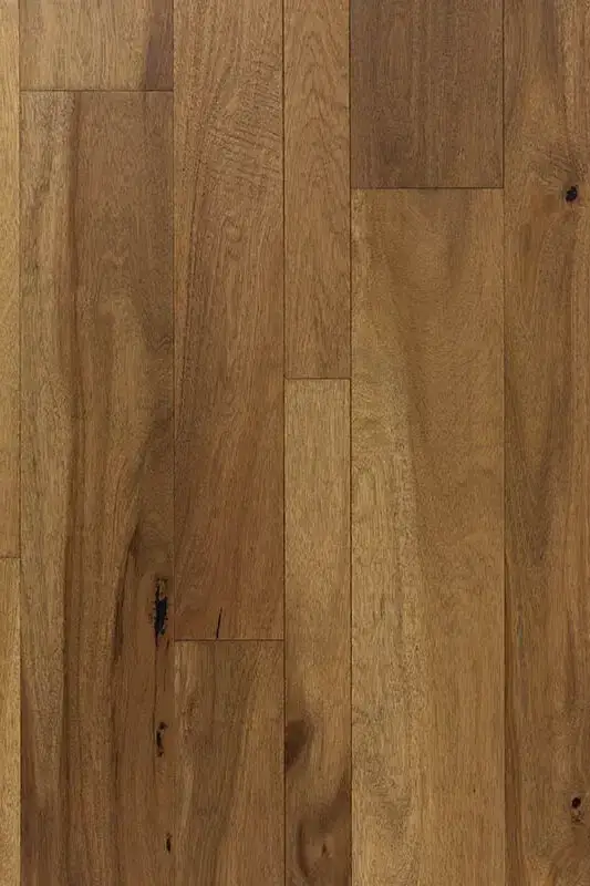 SLCC Flooring Westwind Dublin Acacia Engineered Hardwood, installed in a room