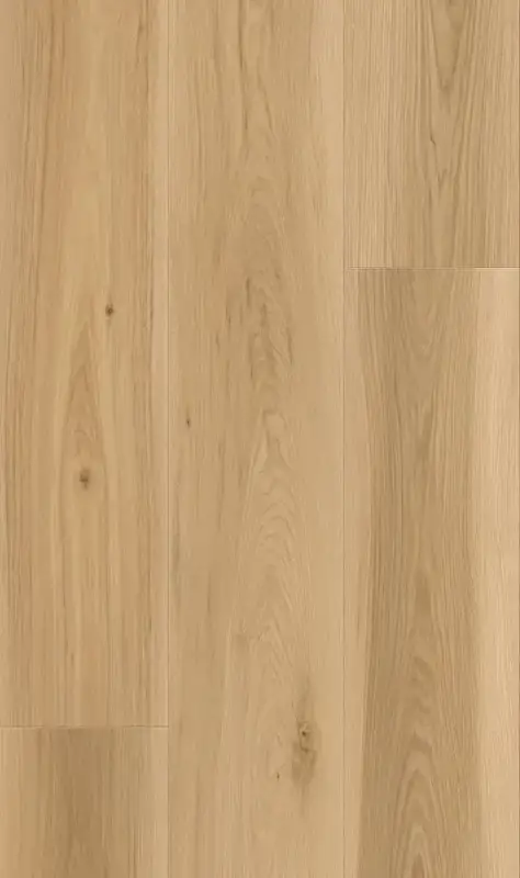 SLCC Flooring Altus Altero Laminate Flooring, installed in a room